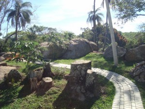 dsc00362jpg2_01