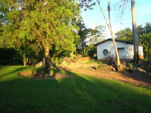 dsc09928
